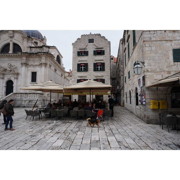 Picture Croatia Dubrovnik 2016-04 22 - Tours Dubrovnik