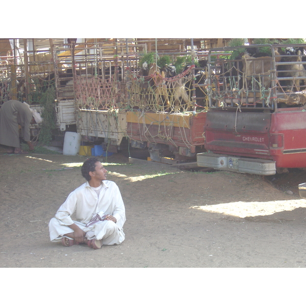 Picture United Arab Emirates Al Ain 2005-03 31 - Tour Al Ain