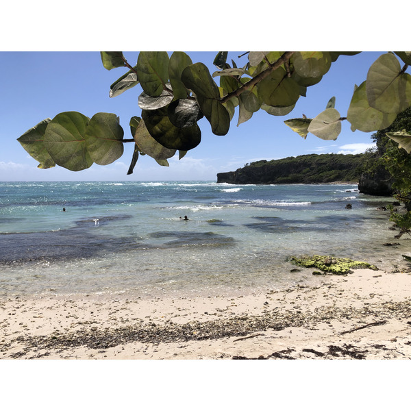 Picture Guadeloupe Castle Point 2021-02 78 - Around Castle Point