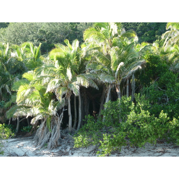 Picture Fiji Castaway Island 2010-05 206 - Discovery Castaway Island