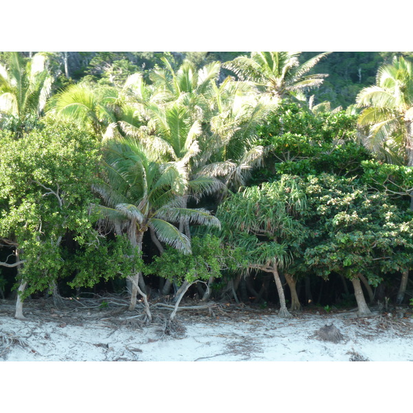 Picture Fiji Castaway Island 2010-05 203 - Tour Castaway Island