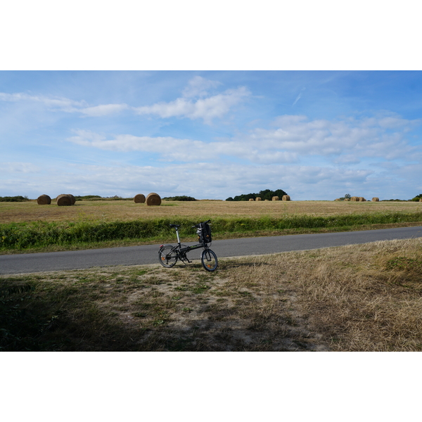 Picture France Belle-Ile 2016-08 198 - Around Belle-Ile