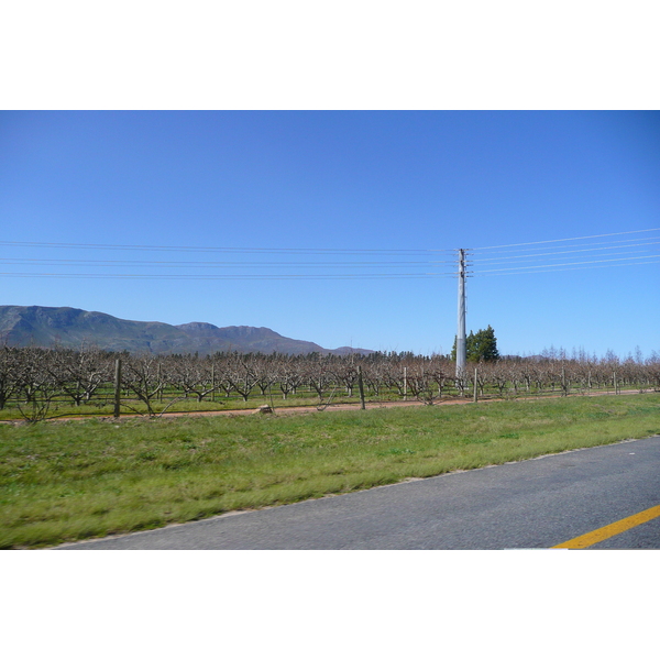 Picture South Africa Cape Town to Harmanus road 2008-09 20 - Tours Cape Town to Harmanus road