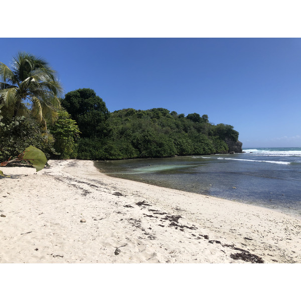 Picture Guadeloupe Castle Point 2021-02 289 - Around Castle Point