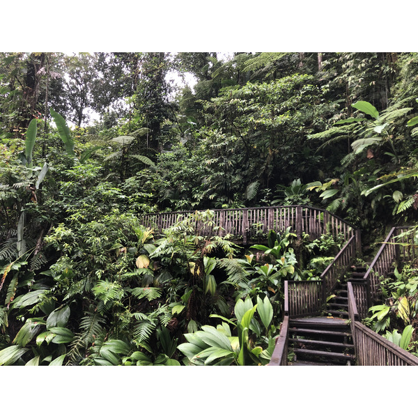 Picture Guadeloupe Carbet Falls 2021-02 57 - Journey Carbet Falls