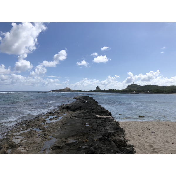 Picture Guadeloupe Grande Anse des Salines Beach 2021-02 0 - Discovery Grande Anse des Salines Beach