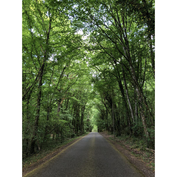 Picture France Floirac 2018-04 57 - Around Floirac