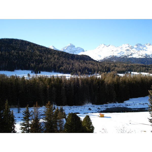 Picture Swiss Pontresina 2007-01 84 - Around Pontresina