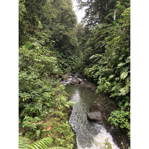 Picture Guadeloupe Carbet Falls 2021-02 0 - Recreation Carbet Falls