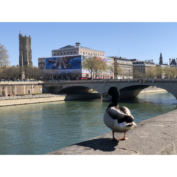 Picture France Paris lockdown 2020-04 241 - Discovery Paris lockdown