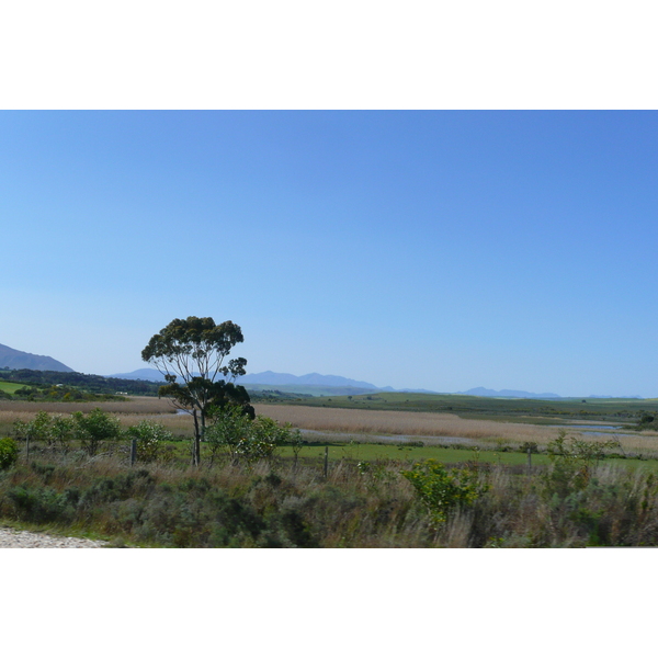 Picture South Africa Cape Town to Harmanus road 2008-09 18 - Tours Cape Town to Harmanus road