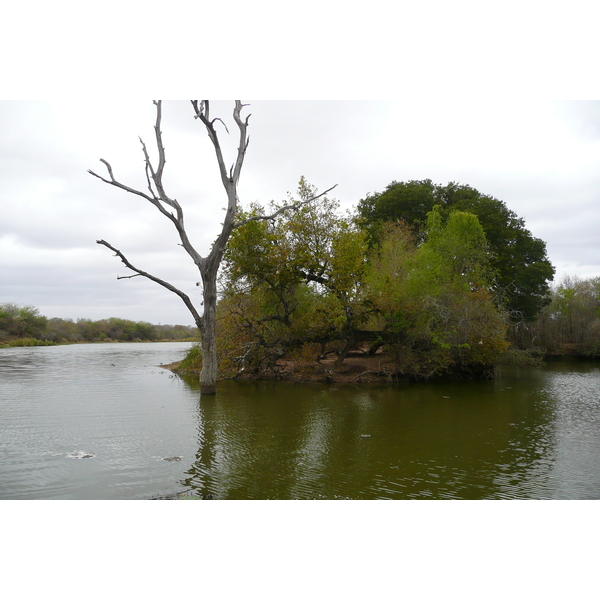 Picture South Africa Kruger National Park Sable River 2008-09 78 - Around Sable River