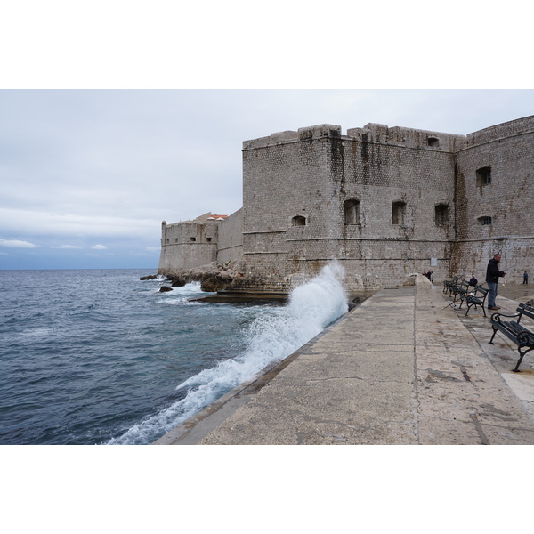 Picture Croatia Dubrovnik 2016-04 168 - Discovery Dubrovnik