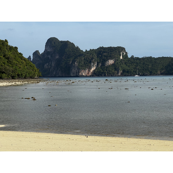 Picture Thailand Ko Phi Phi Don 2021-12 125 - Discovery Ko Phi Phi Don