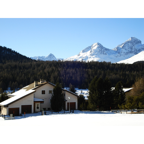 Picture Swiss Pontresina 2007-01 102 - History Pontresina