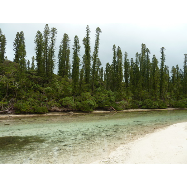 Picture New Caledonia Ile des pins Oro Bay 2010-05 50 - Tours Oro Bay