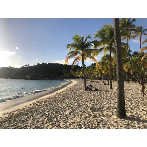 Picture Guadeloupe La Caravelle Beach 2021-02 92 - Around La Caravelle Beach