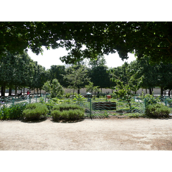 Picture France Paris Garden of Tuileries 2007-05 362 - History Garden of Tuileries