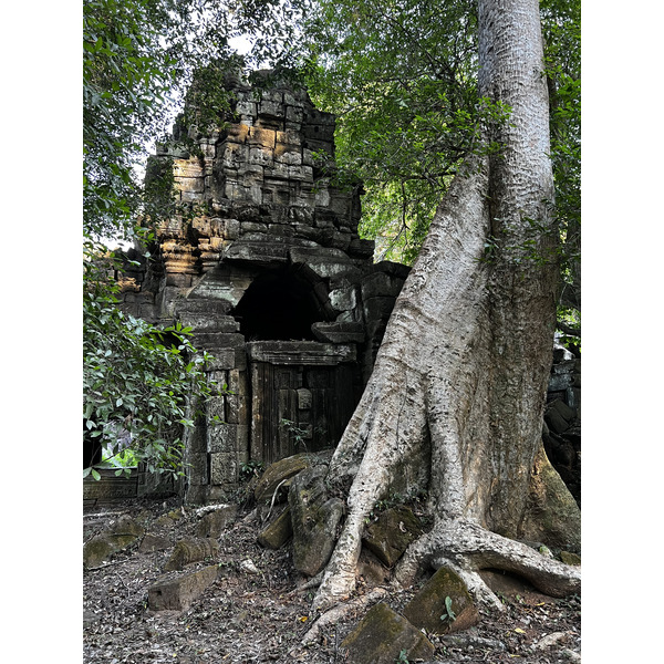 Picture Cambodia Siem Reap Preah Khan 2023-01 48 - Tours Preah Khan