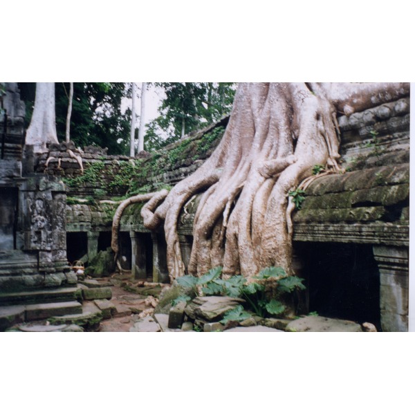 Picture Cambodia Angkor 1996-06 37 - Center Angkor