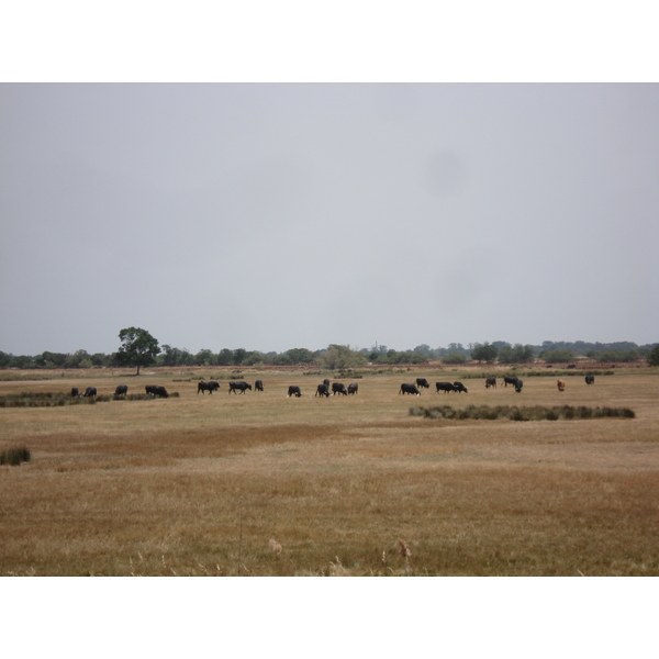 Picture France Camargue 2006-06 4 - History Camargue