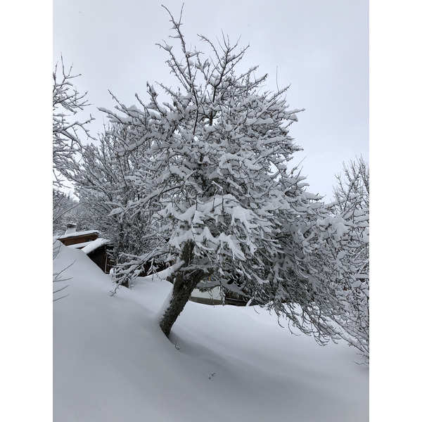 Picture France La Clusaz 2017-12 281 - Journey La Clusaz