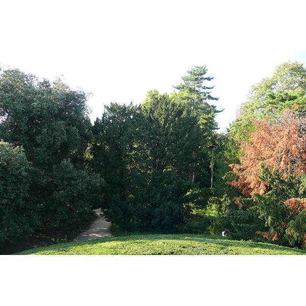 Picture France Paris Jardin des Plantes 2007-08 30 - Discovery Jardin des Plantes