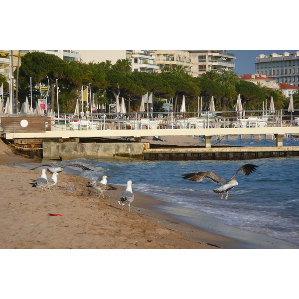 Picture France Cannes Beach 2008-04 38 - Recreation Beach