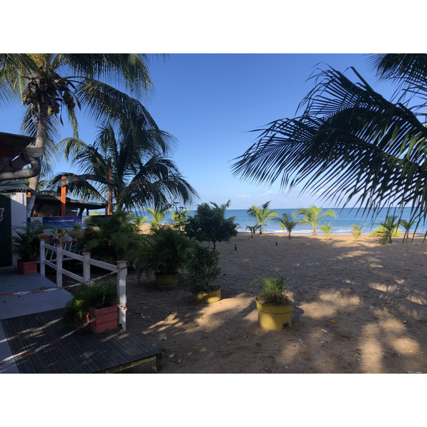 Picture Guadeloupe La Perle Beach 2021-02 75 - Tour La Perle Beach