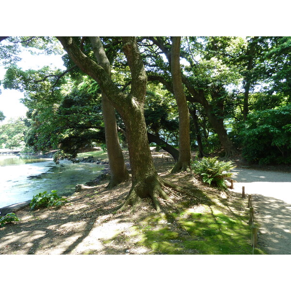 Picture Japan Tokyo Hama rikyu Gardens 2010-06 87 - Tour Hama rikyu Gardens