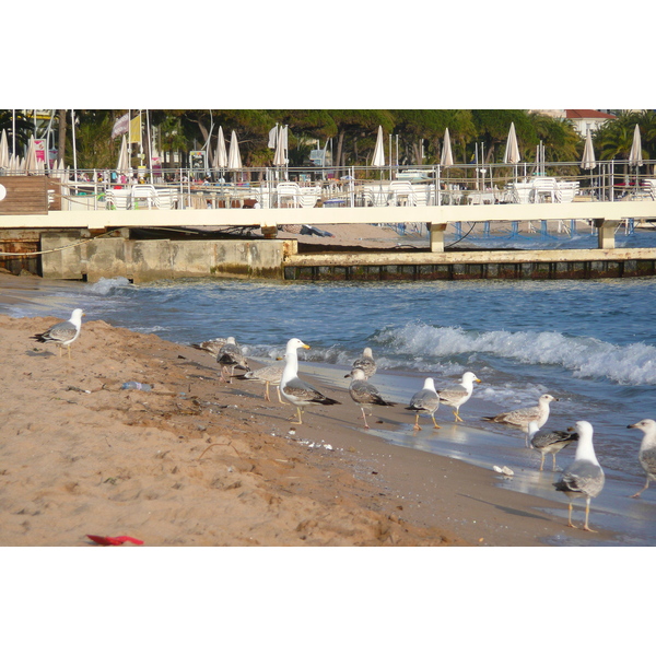 Picture France Cannes Beach 2008-04 53 - Recreation Beach