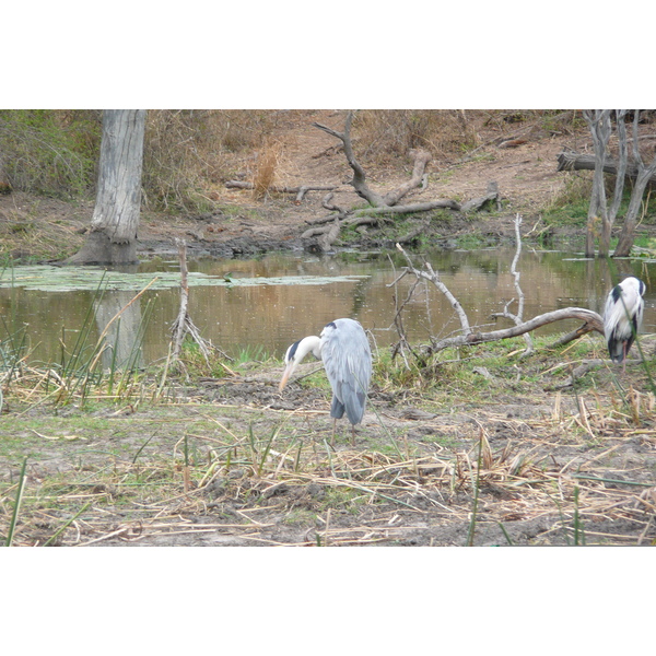 Picture South Africa Kruger National Park Sable River 2008-09 39 - History Sable River