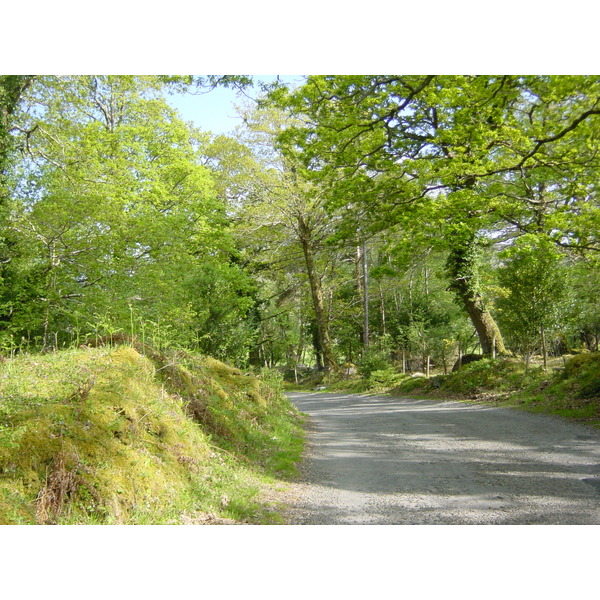 Picture Ireland Kerry Caragh Lake 2004-05 26 - Discovery Caragh Lake