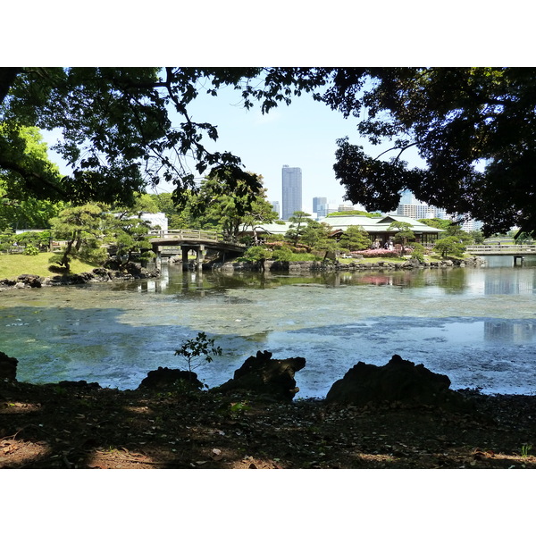 Picture Japan Tokyo Hama rikyu Gardens 2010-06 91 - Tour Hama rikyu Gardens