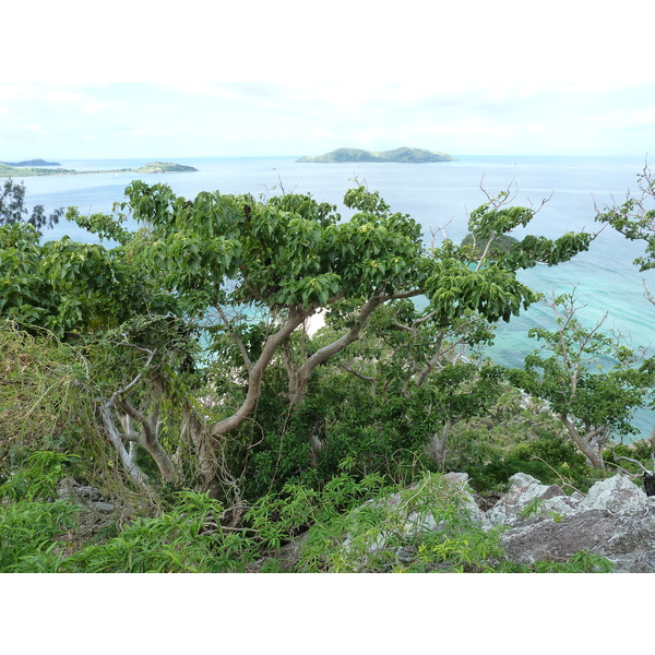 Picture Fiji Castaway Island 2010-05 74 - Around Castaway Island