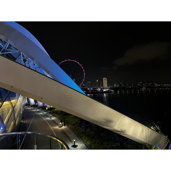 Picture Singapore Garden by the bay 2023-01 45 - Discovery Garden by the bay