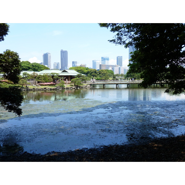 Picture Japan Tokyo Hama rikyu Gardens 2010-06 108 - Tour Hama rikyu Gardens