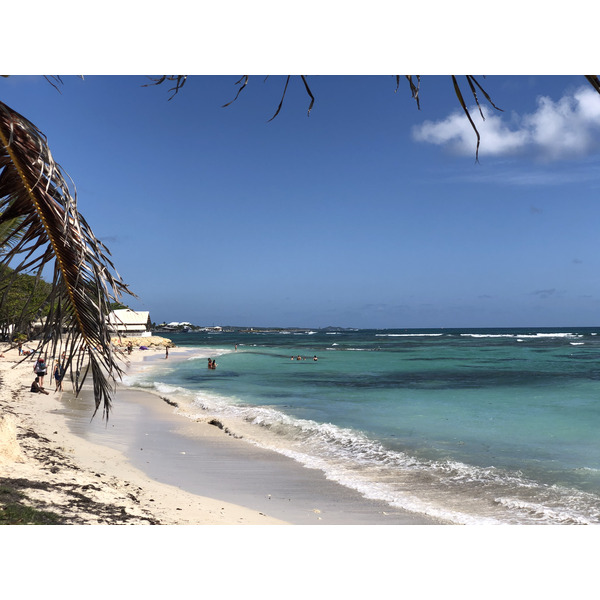 Picture Guadeloupe Saint Francois 2021-02 13 - Around Saint Francois