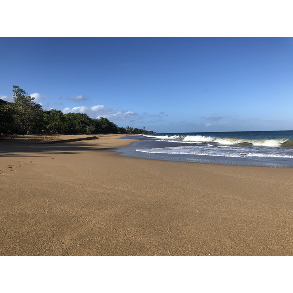 Picture Guadeloupe La Perle Beach 2021-02 18 - Recreation La Perle Beach