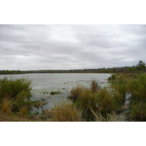 Picture South Africa Kruger National Park Sable River 2008-09 50 - Discovery Sable River