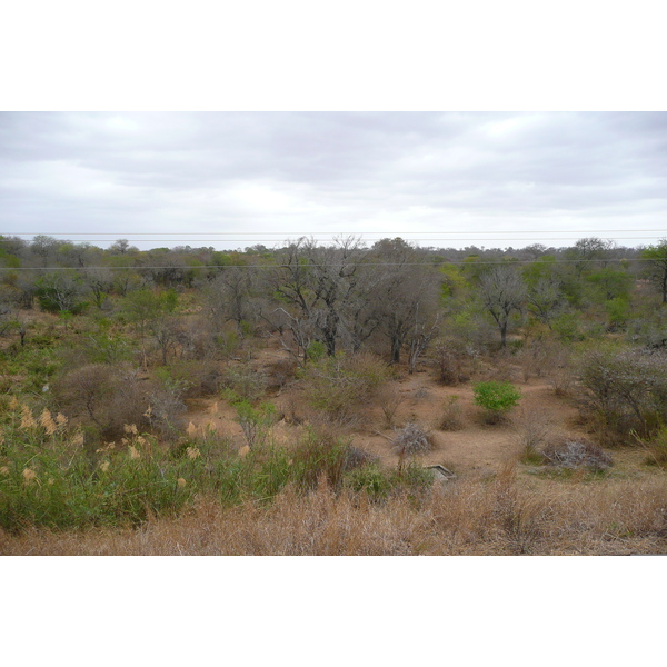 Picture South Africa Kruger National Park Sable River 2008-09 42 - Tours Sable River