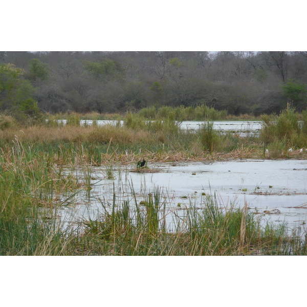 Picture South Africa Kruger National Park Sable River 2008-09 43 - History Sable River