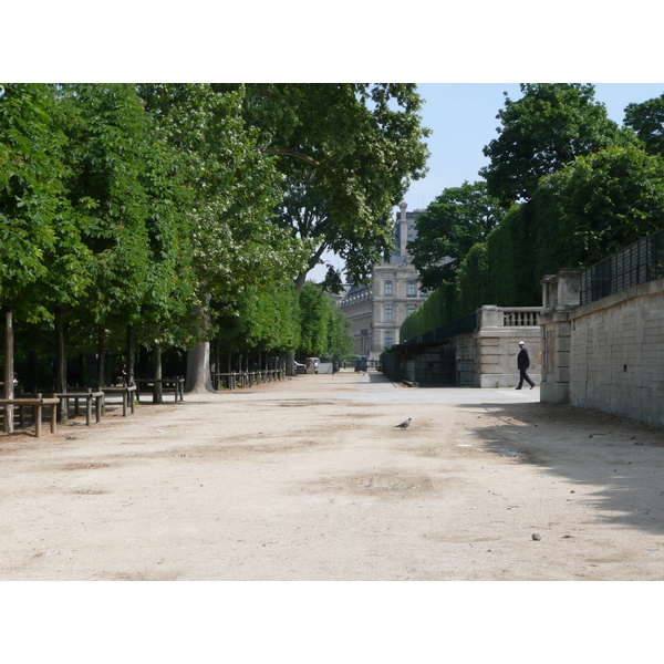 Picture France Paris Garden of Tuileries 2007-05 66 - Discovery Garden of Tuileries