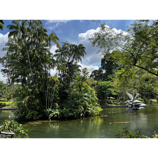 Picture Singapore Singapore Botanic Gardens 2023-01 115 - Tours Singapore Botanic Gardens