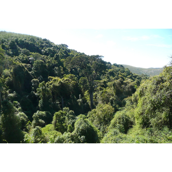 Picture South Africa Nature's Valley 2008-09 67 - Tour Nature's Valley