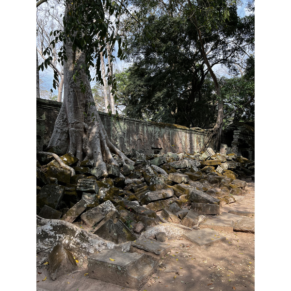 Picture Cambodia Siem Reap Ta Prohm 2023-01 1 - Center Ta Prohm