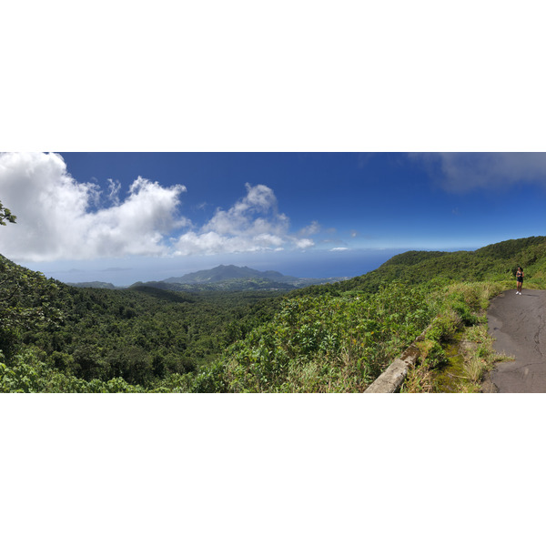 Picture Guadeloupe La Grande Soufriere 2021-02 54 - Around La Grande Soufriere