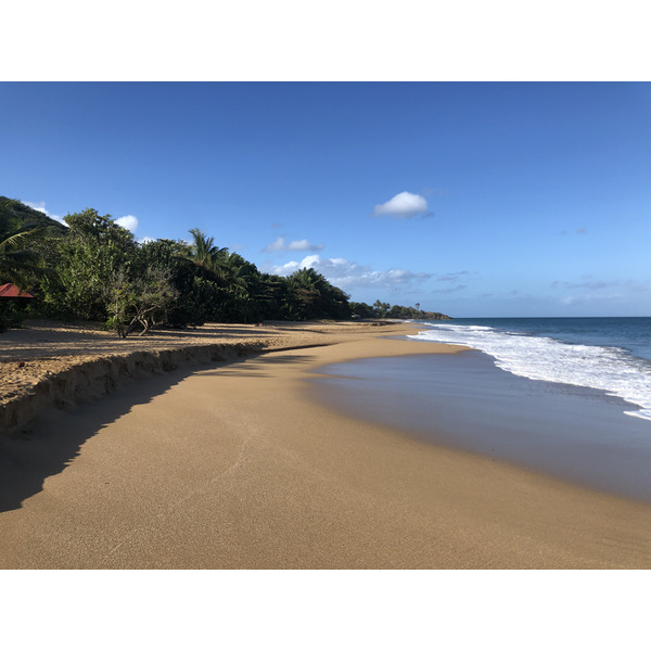 Picture Guadeloupe La Perle Beach 2021-02 19 - Tour La Perle Beach