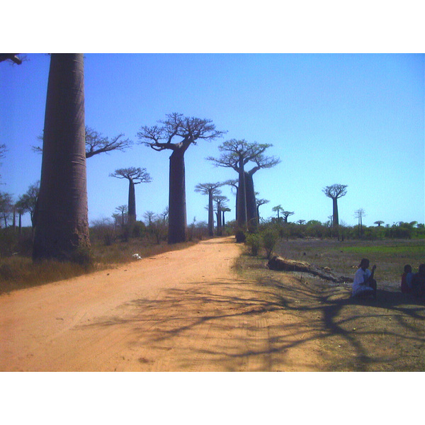 Picture Madagascar Morondava 1999-10 10 - Recreation Morondava