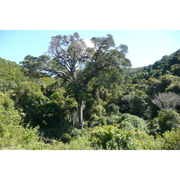 Picture South Africa Nature's Valley 2008-09 11 - Tours Nature's Valley